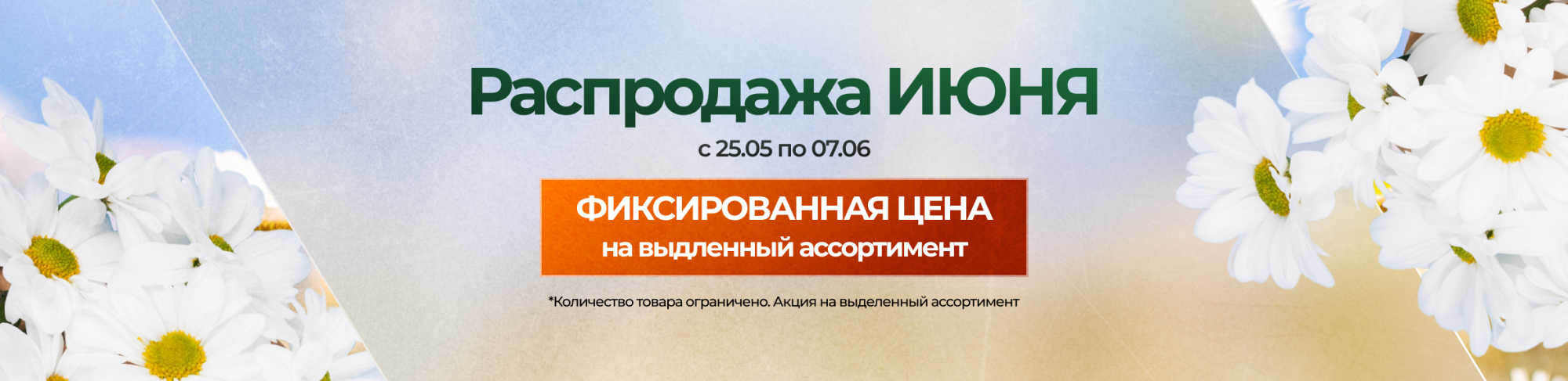 Распродажа ИЮНЯ Распродажа ИЮНЯ
